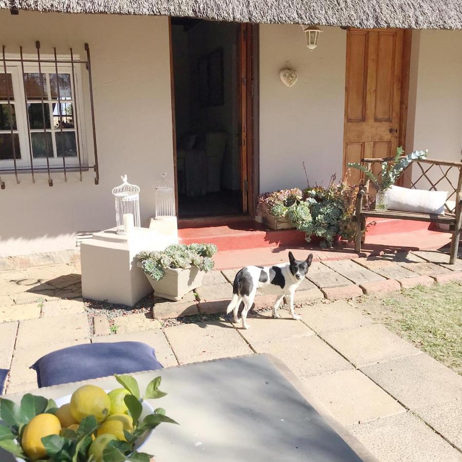 Erin Guesthouse And B&B Bergville Exterior photo